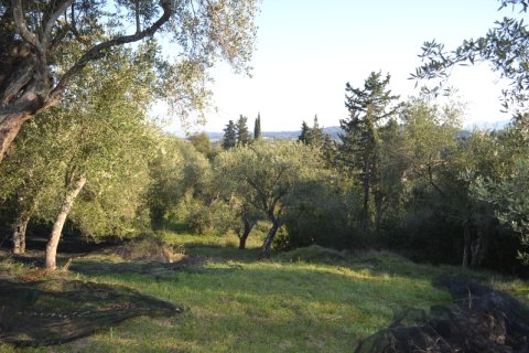 8253m² Land en Corfu, Greece No. 58964 1