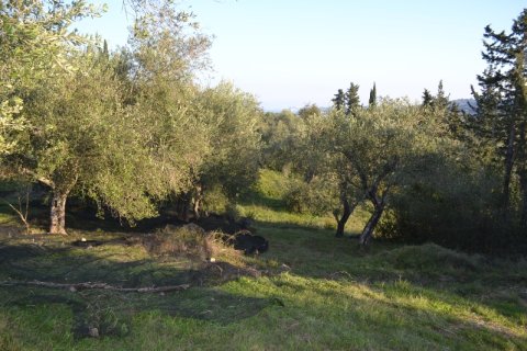 8253m² Land in Corfu, Greece No. 58964 6