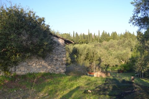 8253m² Land in Corfu, Greece No. 58964 3