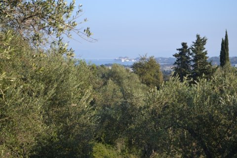 8253m² Land in Corfu, Greece No. 58964 5