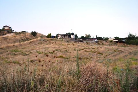 8500m² Land in Chalkidiki, Greece No. 54839 2