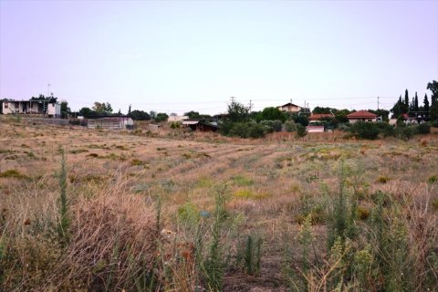 8500m² Land in Chalkidiki, Greece No. 54839 3