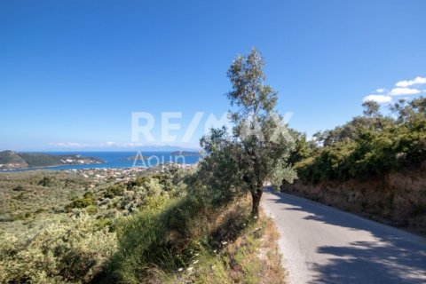 13922m² Land in Skiathos, Greece No. 27953 22