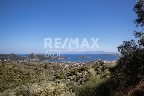 13922m² Land à Skiathos, Greece No. 27953 11