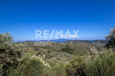 13922m² Land in Skiathos, Greece No. 27953 7