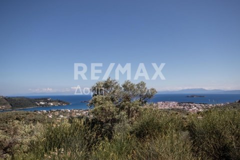 13922m² Land à Skiathos, Greece No. 27953 17