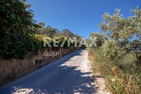 13922m² Land en Skiathos, Greece No. 27953 2