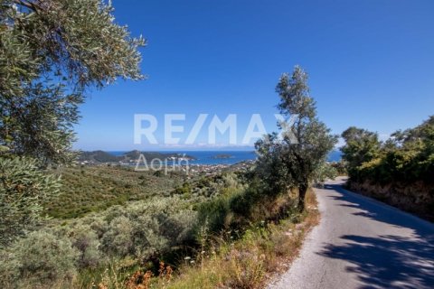 13922m² Land à Skiathos, Greece No. 27953 24