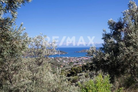 13922m² Land in Skiathos, Greece No. 27953 25