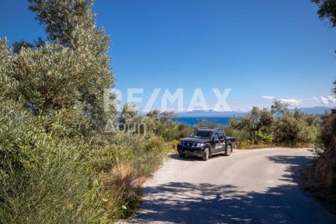 13922m² Land en Skiathos, Greece No. 27953 23