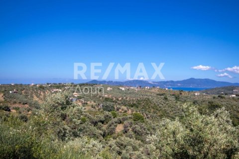 13922m² Land en Skiathos, Greece No. 27953 5