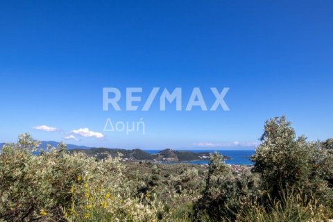 13922m² Land in Skiathos, Greece No. 27953 3