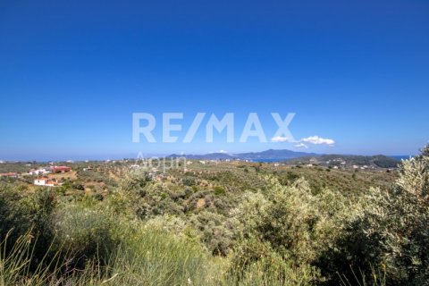 13922m² Land à Skiathos, Greece No. 27953 6