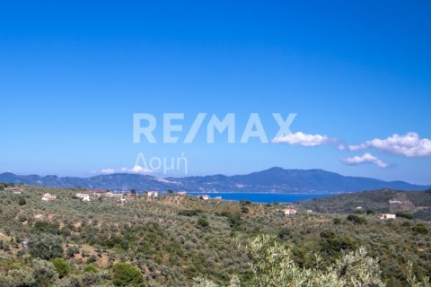 13922m² Land en Skiathos, Greece No. 27953 4