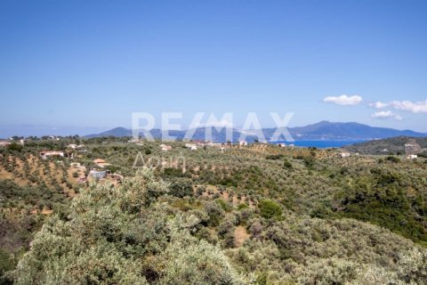 13922m² Land à Skiathos, Greece No. 27953 14