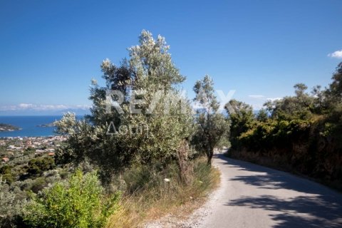 13922m² Land in Skiathos, Greece No. 27953 16