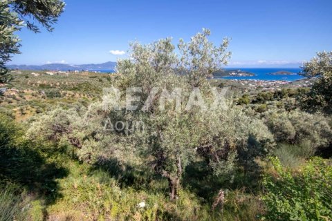 13922m² Land à Skiathos, Greece No. 27953 21