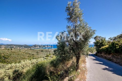 13922m² Land à Skiathos, Greece No. 27953 9