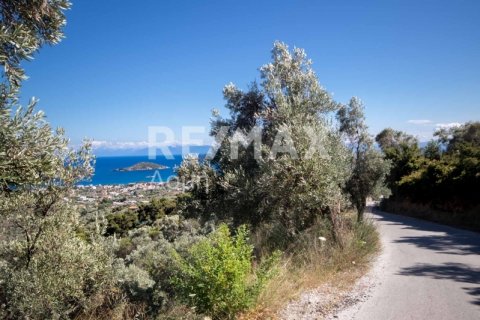 13922m² Land in Skiathos, Greece No. 27953 15