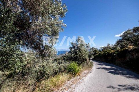 13922m² Land in Skiathos, Greece No. 27953 18