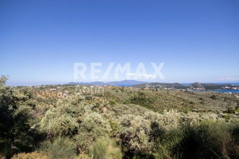 13922m² Land in Skiathos, Greece No. 27953 8