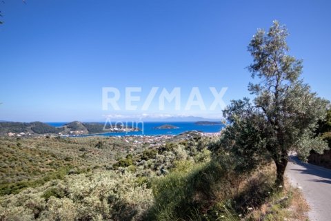 13922m² Land en Skiathos, Greece No. 27953 12