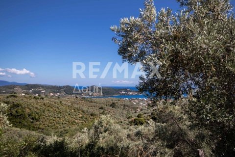 13922m² Land en Skiathos, Greece No. 27953 13