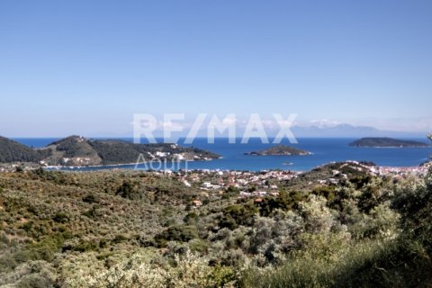 13922m² Land à Skiathos, Greece No. 27953 10