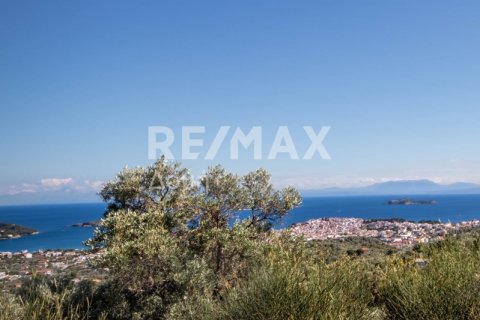 13922m² Land à Skiathos, Greece No. 27953 20