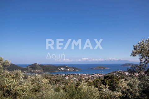 13922m² Land à Skiathos, Greece No. 27953 19