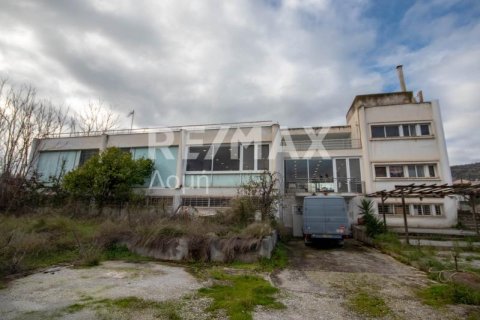 1149m² Commercial property en Volos, Greece No. 27949 7