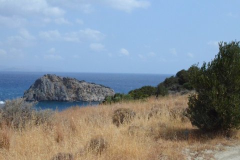 7800m² Land in Agios Nikolaos, Greece No. 55074 3