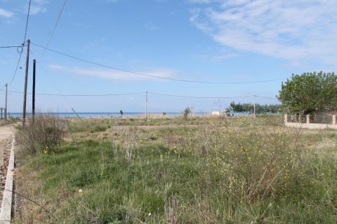 419m² Land en Chalkidiki, Greece No. 58833 1