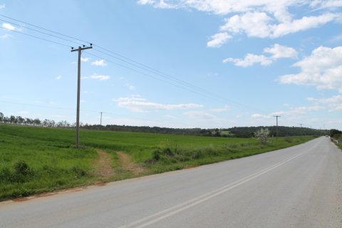 7500m² Land in Chalkidiki, Greece No. 58832 3