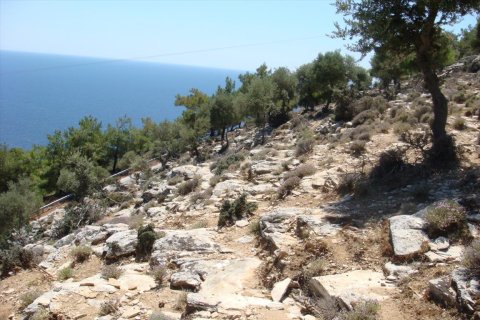 30000m² Land en Thasos, Greece No. 58837 3