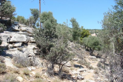 30000m² Land en Thasos, Greece No. 58837 8