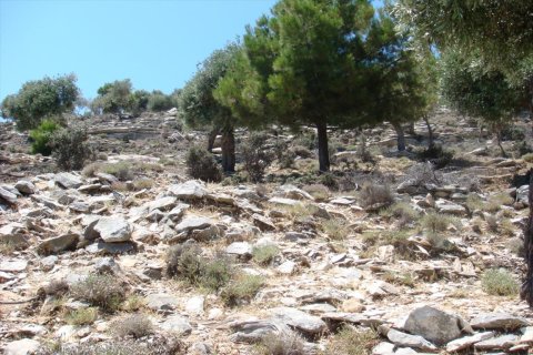 30000m² Land in Thasos, Greece No. 58837 5