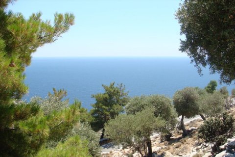 30000m² Land in Thasos, Greece No. 58837 1