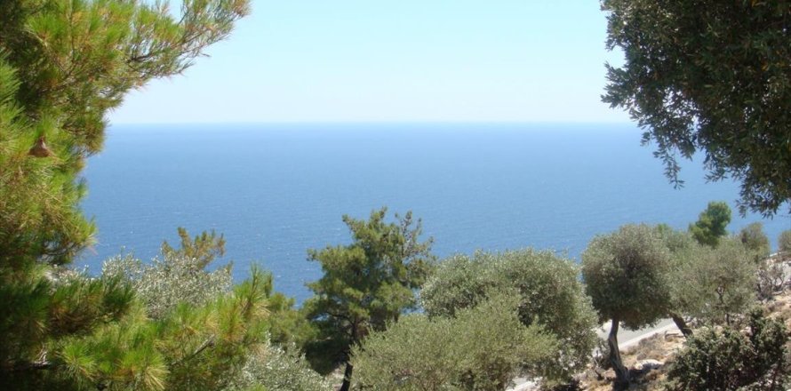 30000m² Land en Thasos, Greece No. 58837