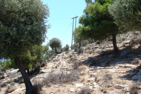 30000m² Land in Thasos, Greece No. 58837 7