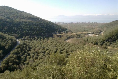 51000m² Land in Volos, Greece No. 58835 1