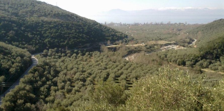 51000m² Land in Volos, Greece No. 58835