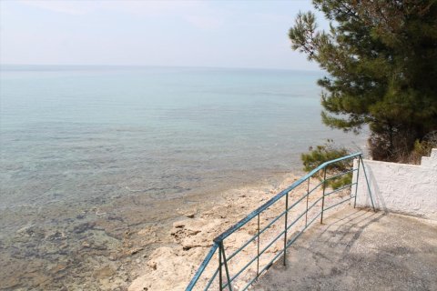 4000m² Land in Chalkidiki, Greece No. 58836 4