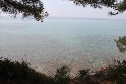 4000m² Land en Chalkidiki, Greece No. 58836 1