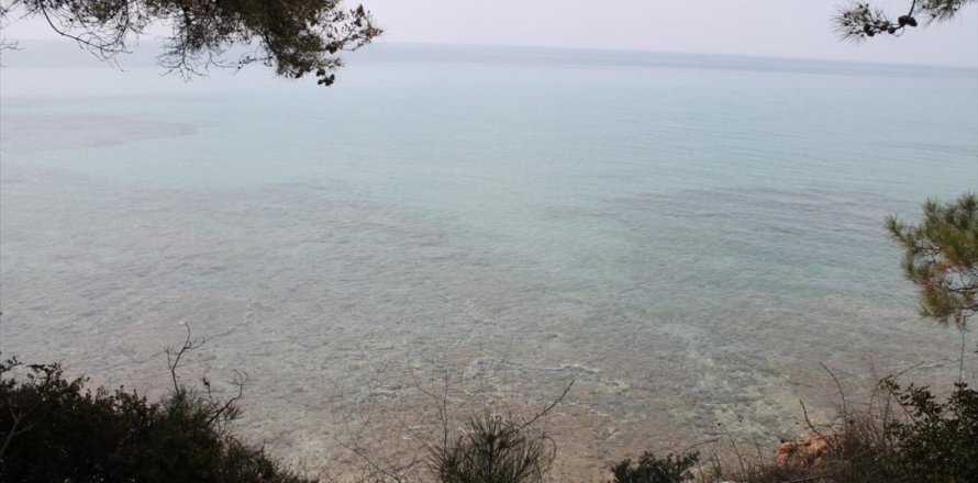 4000m² Land in Chalkidiki, Greece No. 58836