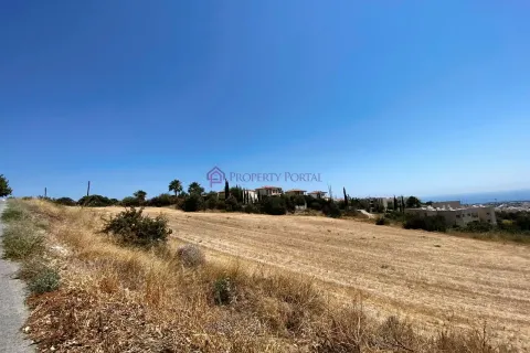 10300m² Land en Pegeia, Cyprus No. 35351 3