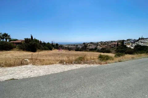 10300m² Land in Pegeia, Cyprus No. 35351 2