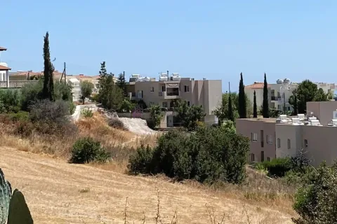 10300m² Land in Pegeia, Cyprus No. 35351 5