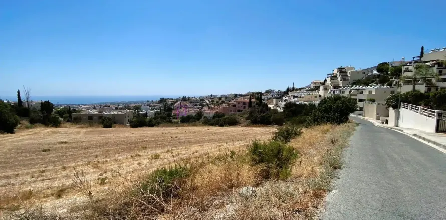 10300m² Land à Pegeia, Cyprus No. 35351