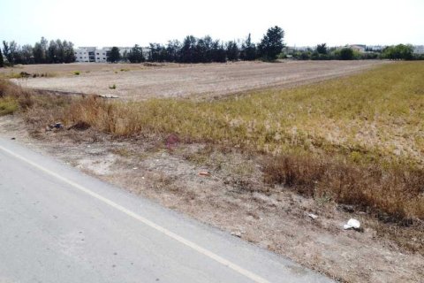 9170m² Land in Agia Marinouda, Cyprus No. 35350 4